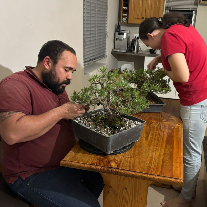 Romano in action with his daughter working on bonsai trees.